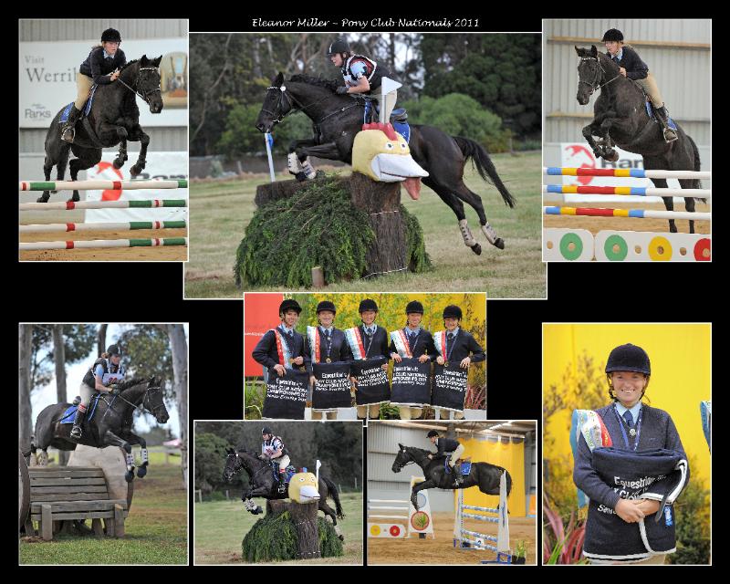 EQUESTRIAN SAMPLE_00003.jpg